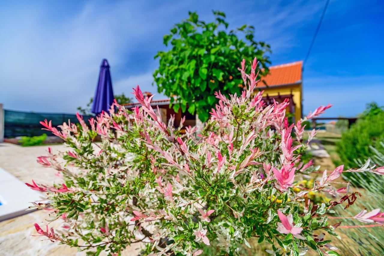 Sunny House Villa Smokovic Kültér fotó