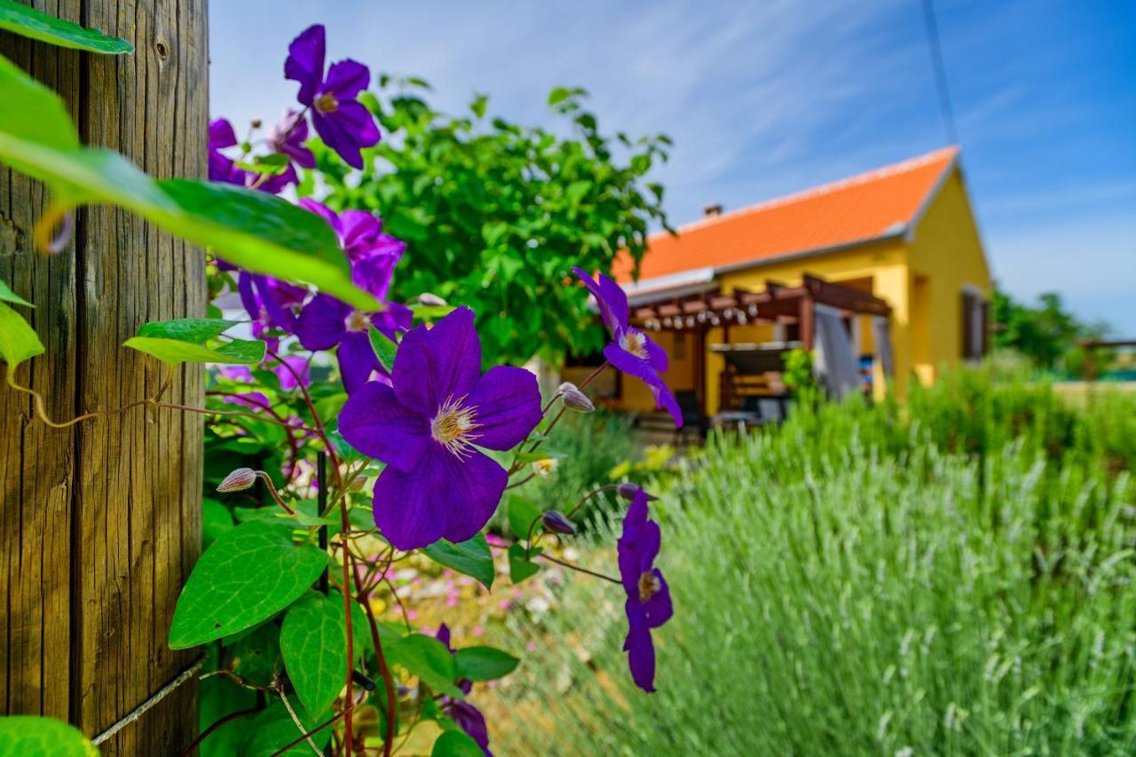Sunny House Villa Smokovic Kültér fotó