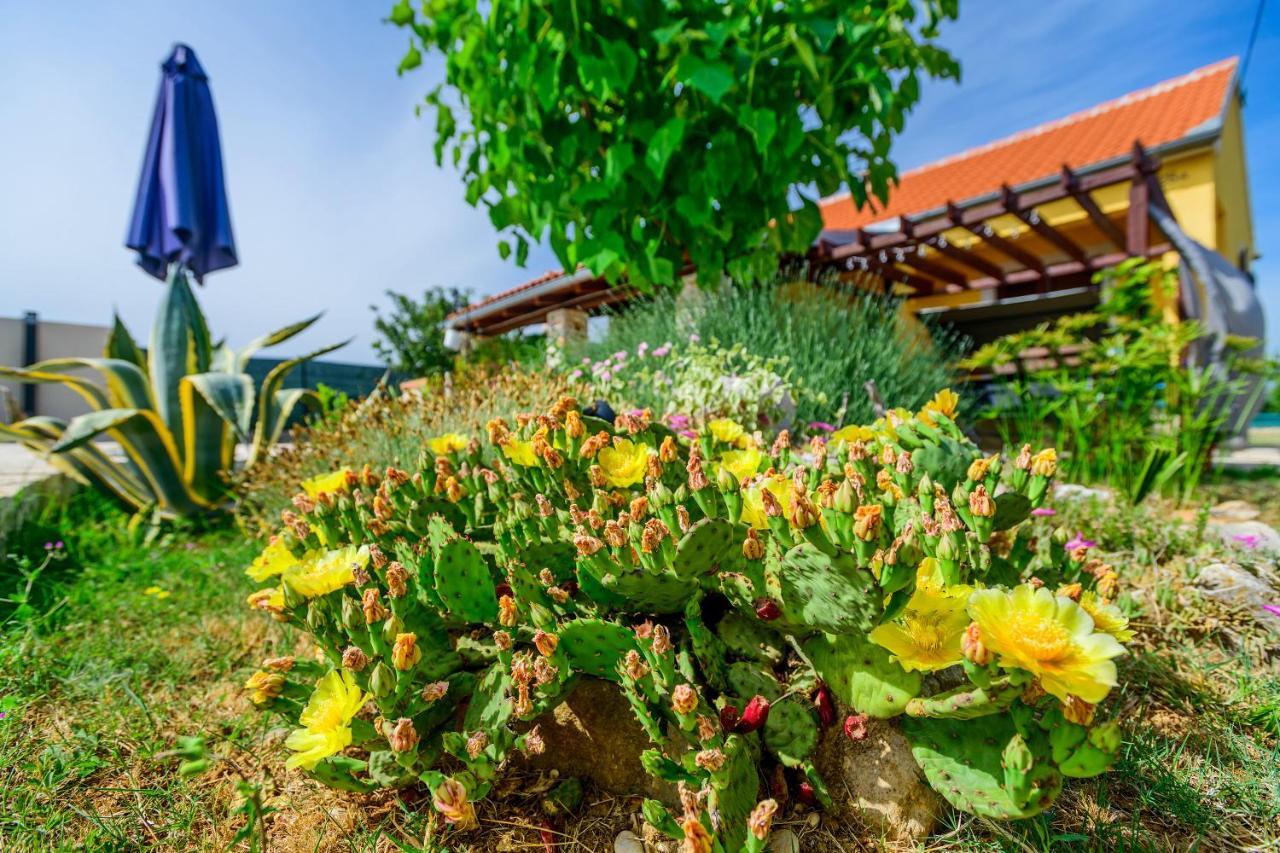 Sunny House Villa Smokovic Kültér fotó