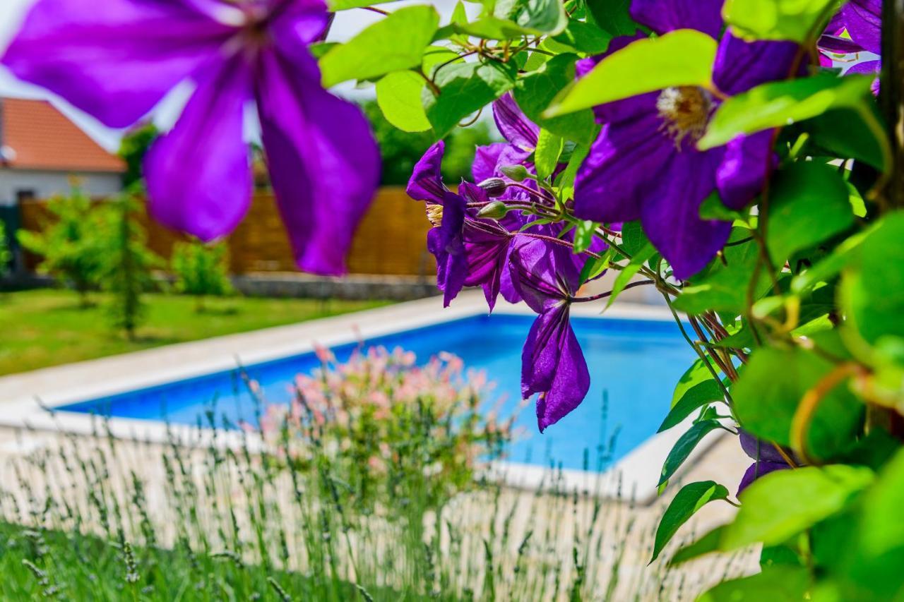 Sunny House Villa Smokovic Kültér fotó
